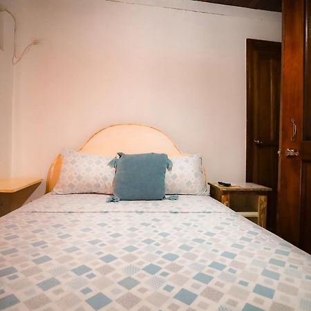 Cat In The Cup B&B Bocas Town Bagian luar foto