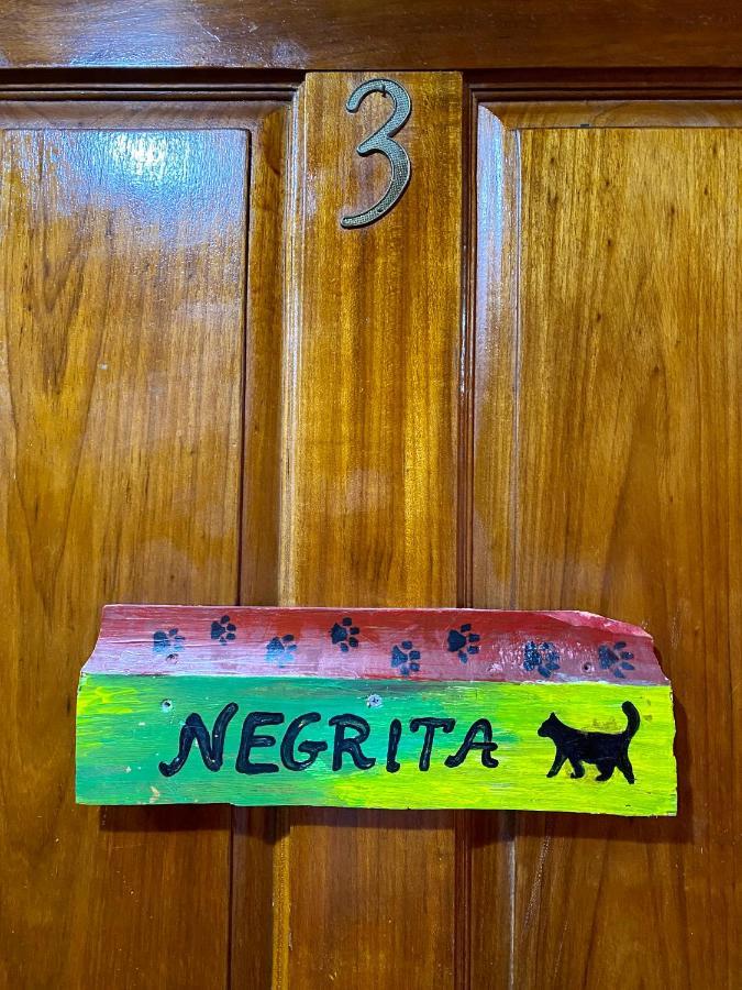 Cat In The Cup B&B Bocas Town Bagian luar foto