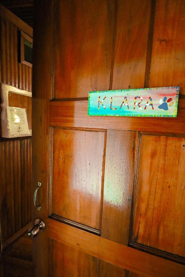 Cat In The Cup B&B Bocas Town Bagian luar foto